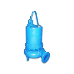 Barmesa 62170278 - 6BSE24046LDS - 6" Double Seal Pump, Manual